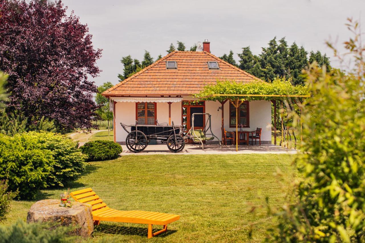 Ferienwohnung Angelika Vendeghaz Dinnyés Exterior foto