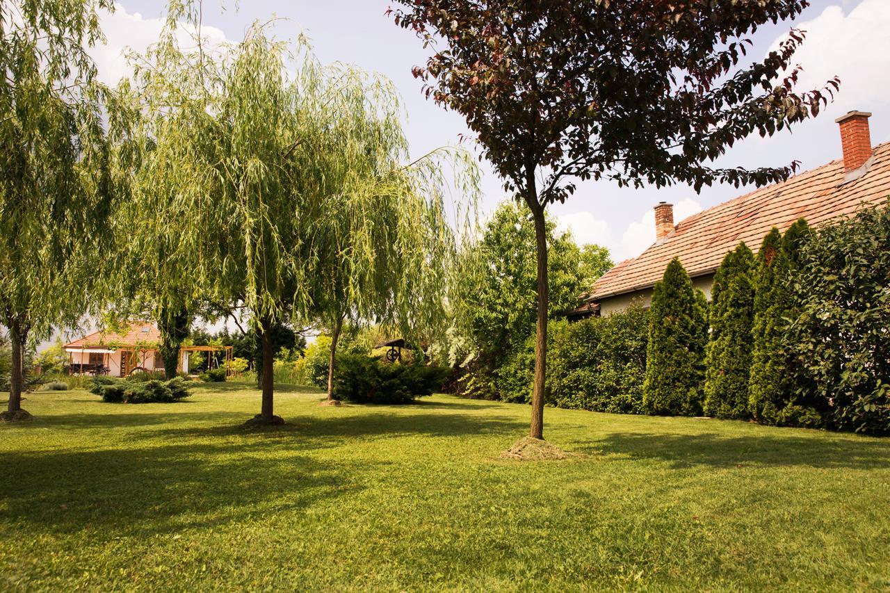 Ferienwohnung Angelika Vendeghaz Dinnyés Exterior foto